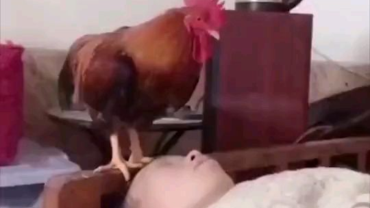《生 活》