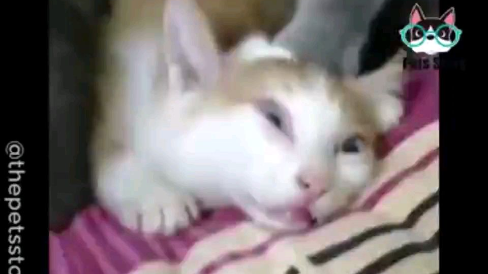 头给你笑掉