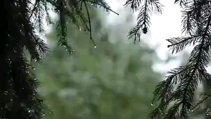 【爱助眠】纯净的大自然 ,风雨声 ,轻松、 解压。