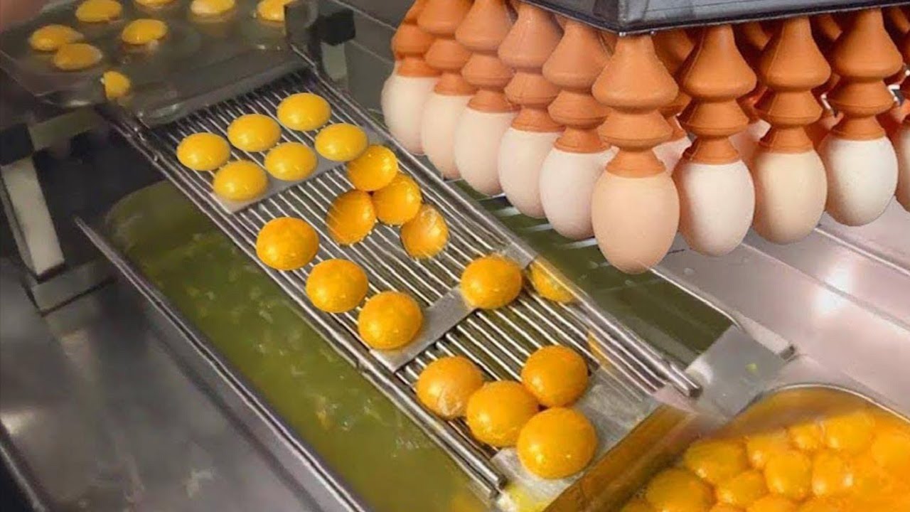 现代技术鸡蛋加工机械鸡蛋自动分级包装厂