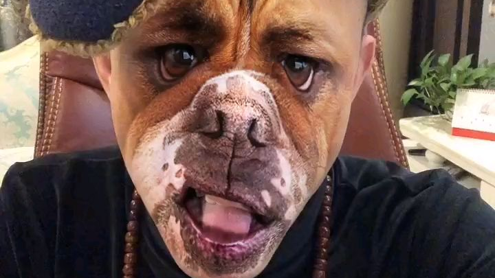 老八新活:忠 犬 八 公