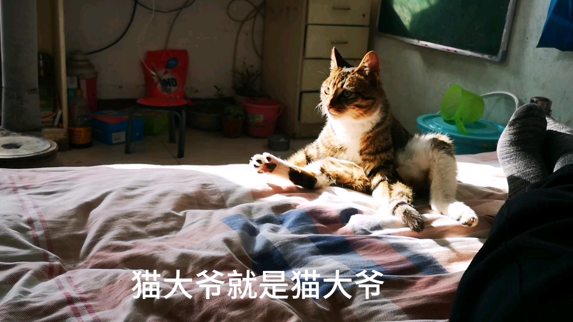 钢镚居然在想女人,还是个暴露狂!