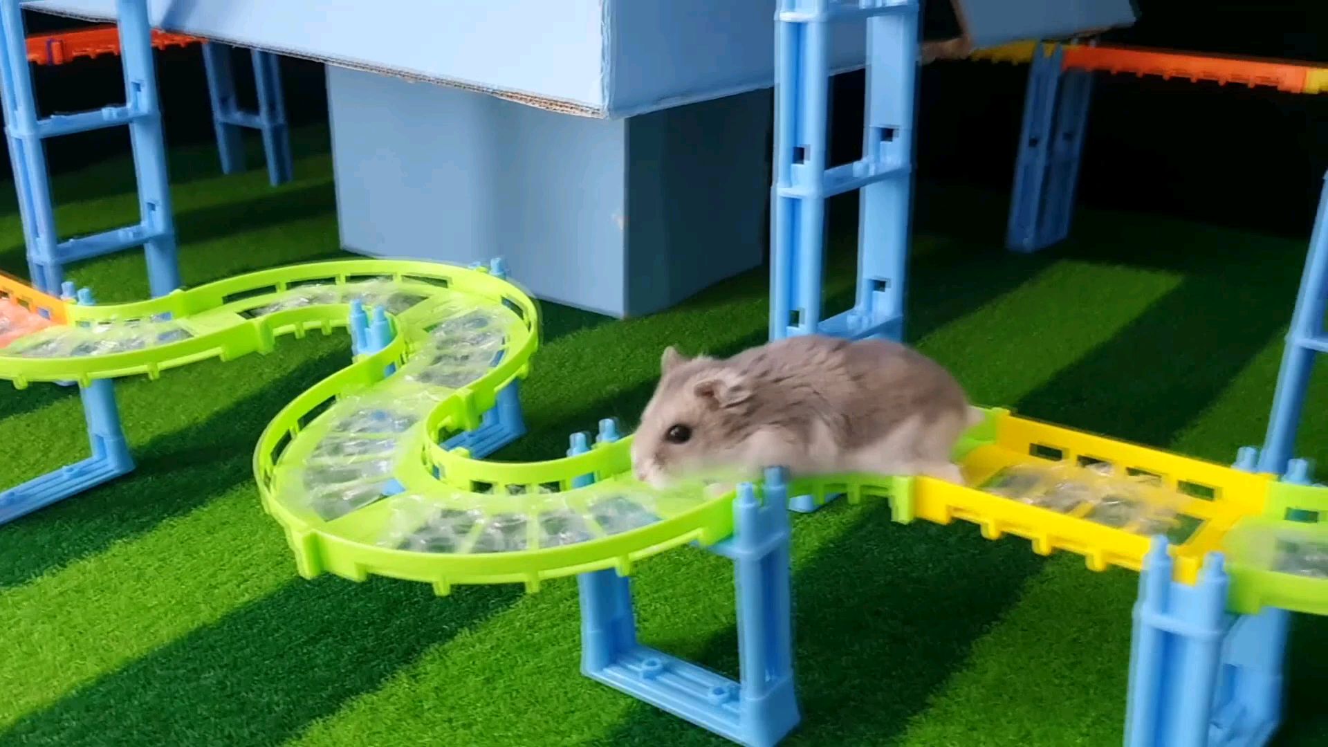 ノ- ( ゜- ゜)つロ