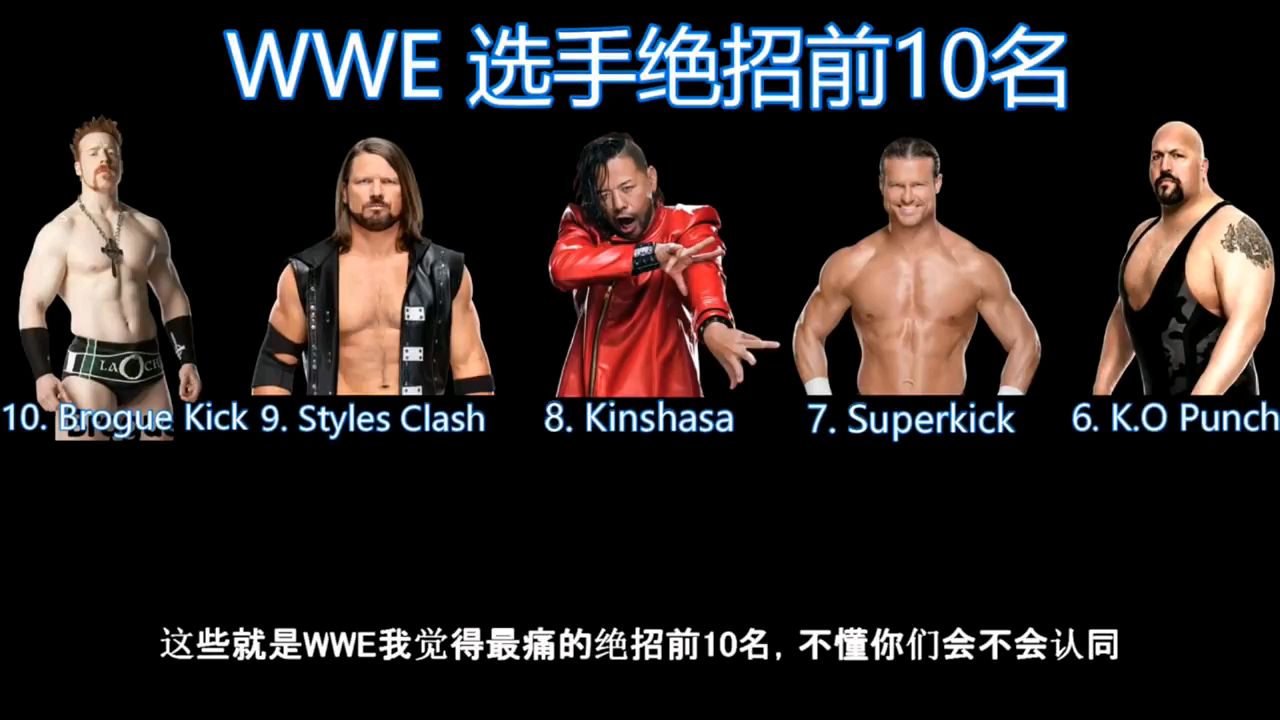 WWE个人TOP10终结技