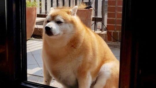 旭辉有园现场视频。
