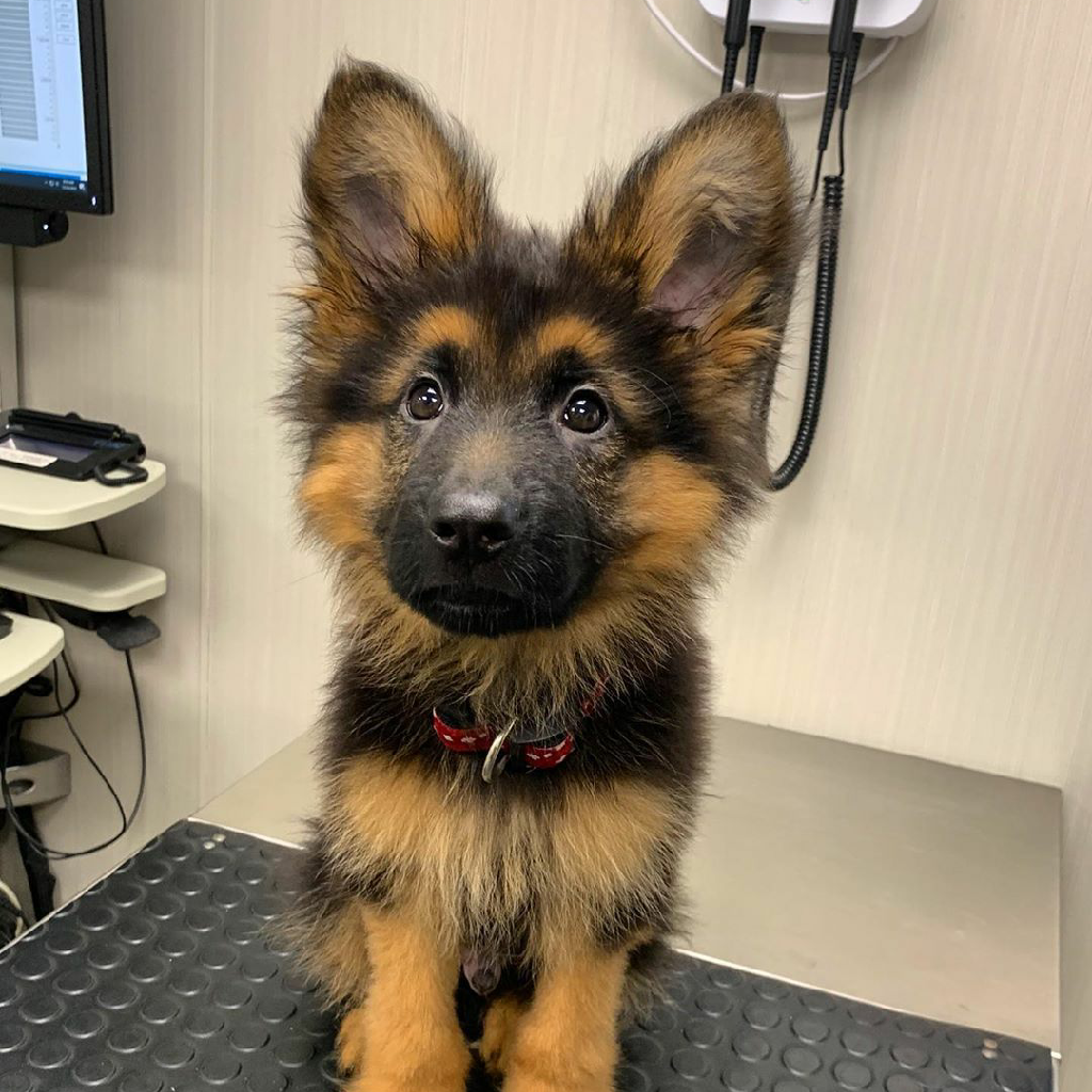 【gr枪雨战术水弹】竞技cqb神器-精击slrcqb水弹发射器