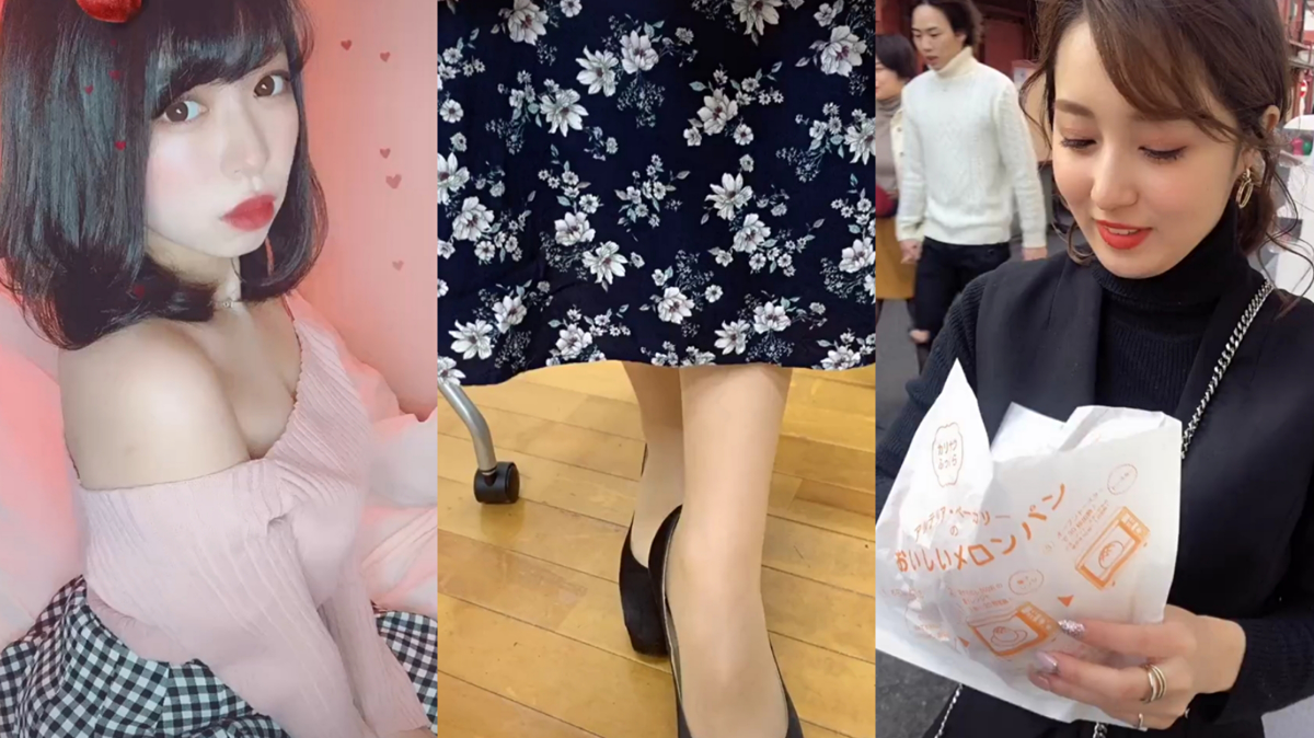 TIKTOK 今天啊 今天是动物世界!