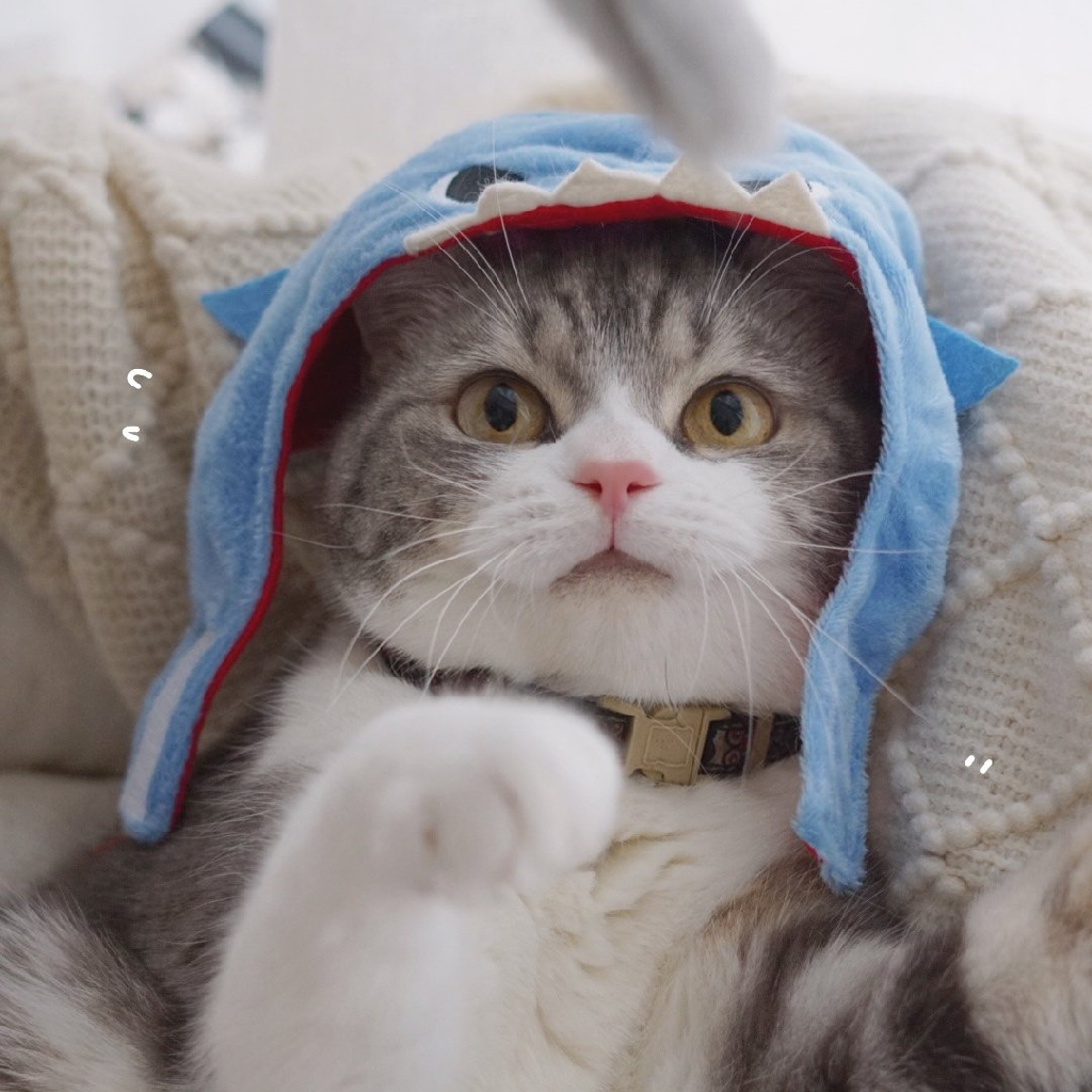 【马丁】身患绝症,患者雇佣职业杀手杀自己,医生: 不好意思误诊了.