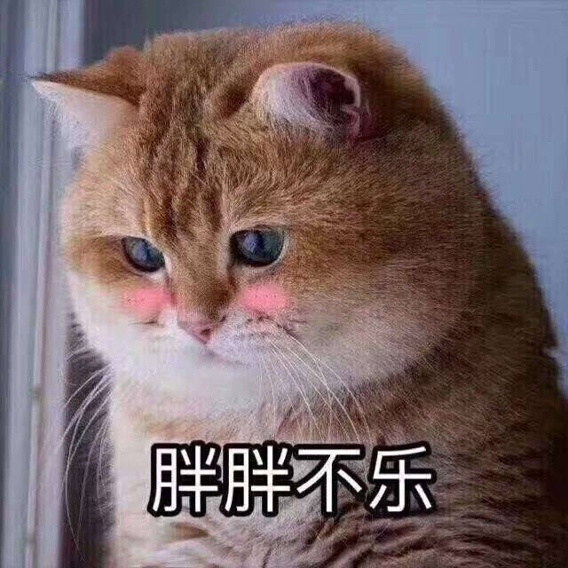 猫:定住了!猫突然被捏住后颈皮,会有什么反应?猫:定住了!