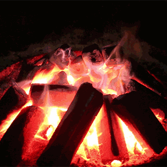 338_338gif 动态图 动图