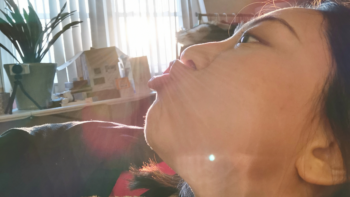 ［VLOG］猜猜我今天要干嘛