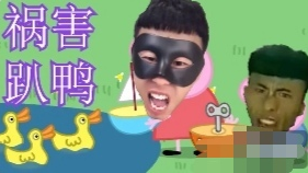 老猪八奇