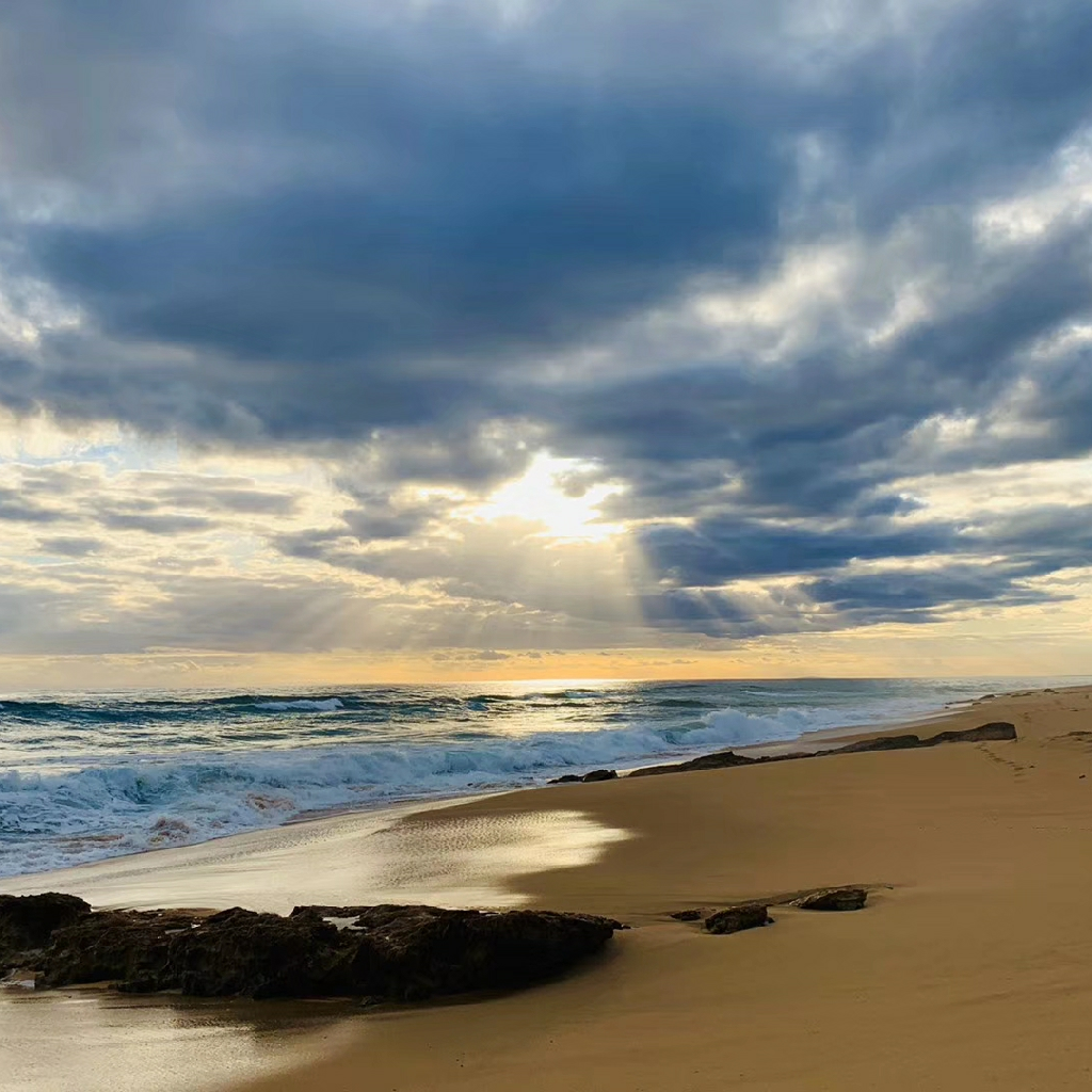 【奥雷】《奇幻潮》系列第20,21集《复仇》和《植物人》