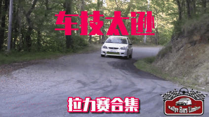 车技太逊-拉力赛2008-2020合集