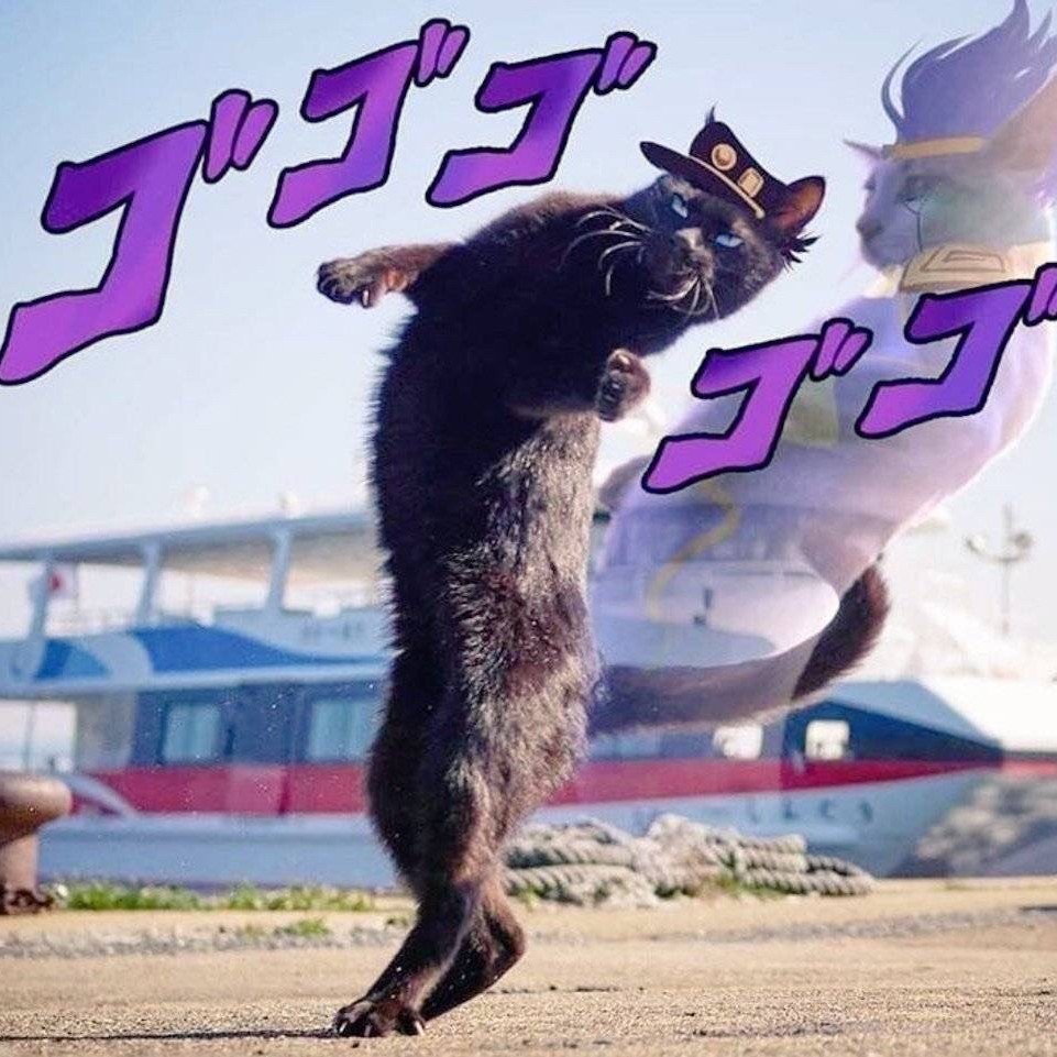 [emot=ac,02/][emot=ac,02/] redpallad 正道的光,照在了大地上[表情]