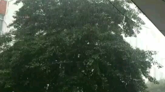 下大雨啦!