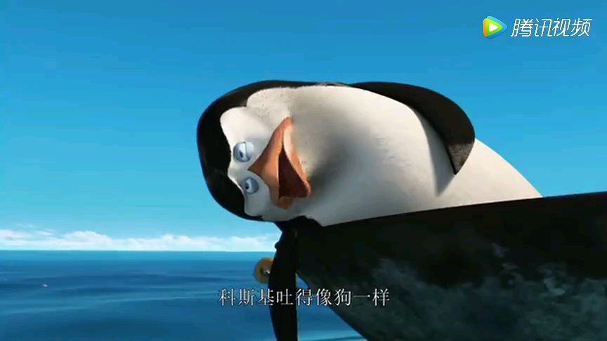 马达加斯加的企鹅,老大口述船长日记