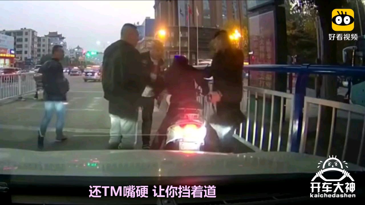 【开车大神】马路上遭遇挡道狗,老司机暴怒下狠手!