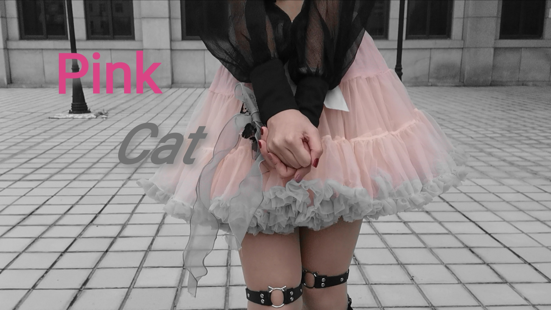 【有骨】进来给你看,我有你没有的……答案当然是耳朵!Pink Cat翻跳