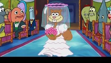 海绵宝宝和珊迪结婚啦(误)