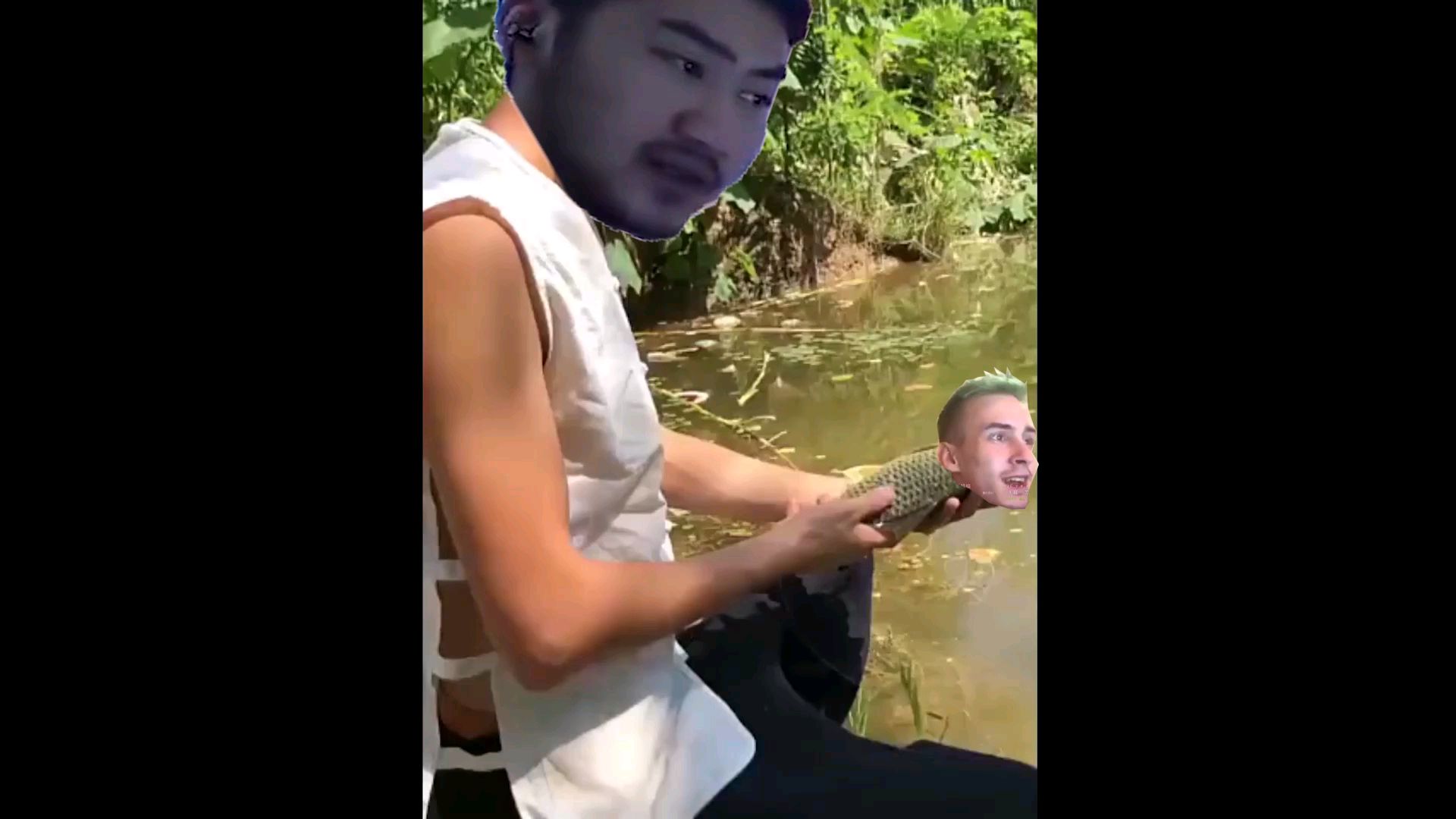 茄子放生毛子
