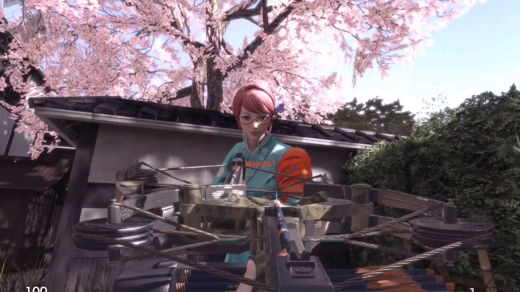 风暴战区—樱花千叶葵