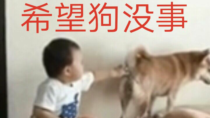 人类迷惑行为