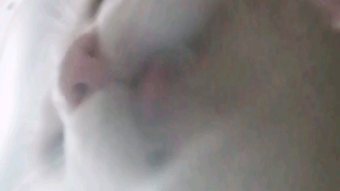 小猫咪喝水