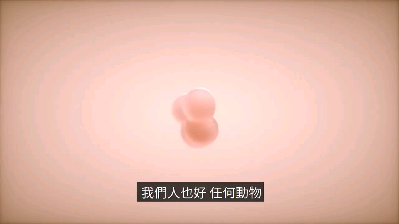 不死之身,地球上最强悍的生物告诉我们人类永生的正确方向
