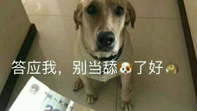 答应我,别当舔狗了好吗?