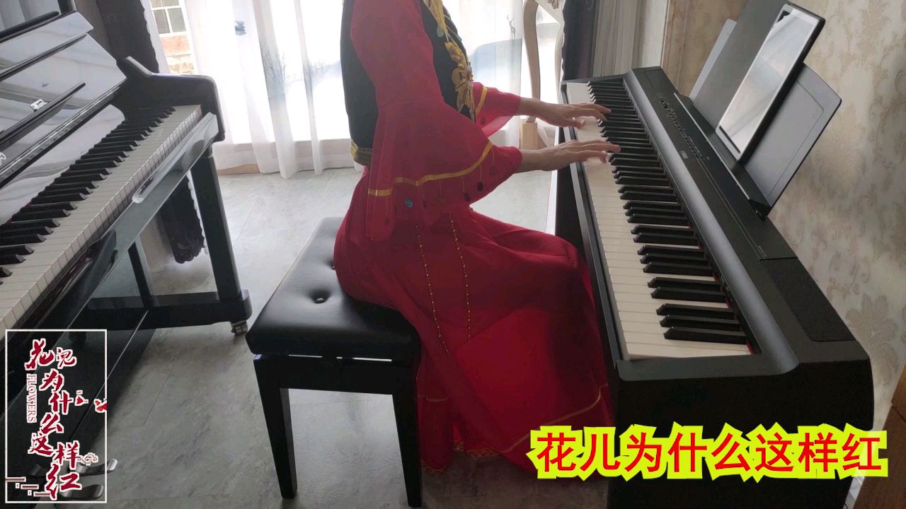 《花儿为什么这样红》