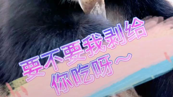 .哈哈