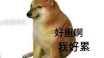 肥肥的练腿极限测试