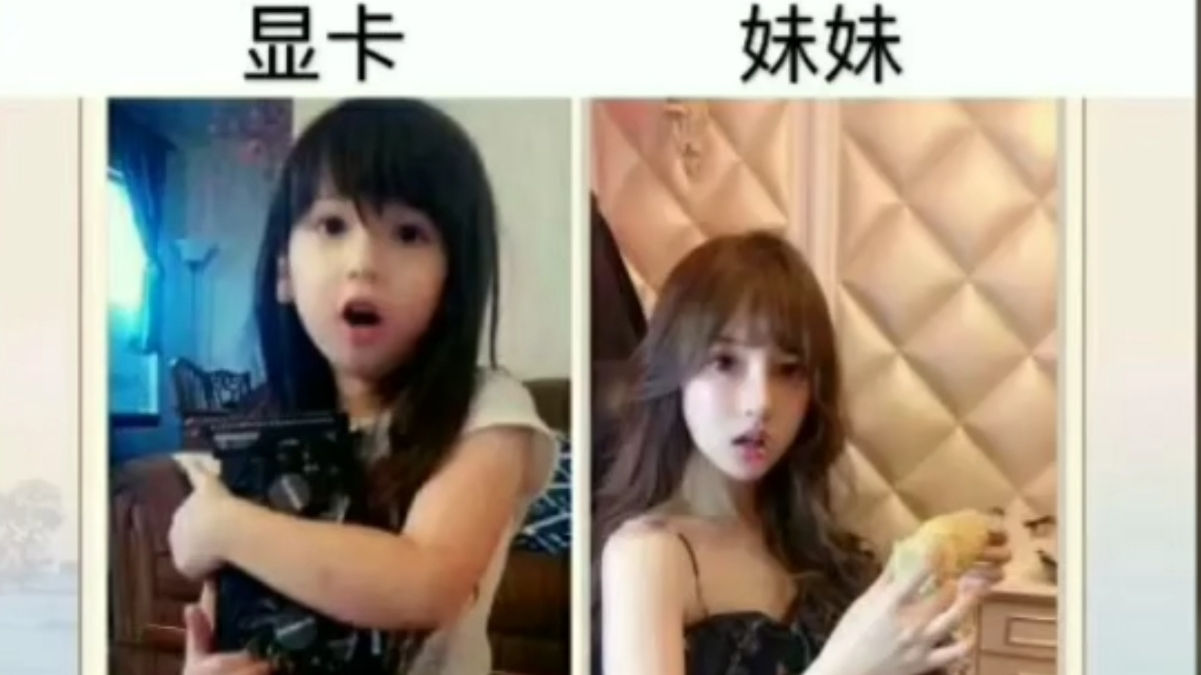 这么多年了,显卡和妹妹你选谁(狗头)