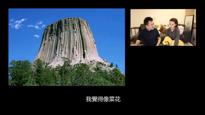 我們的地球上根本沒有樹