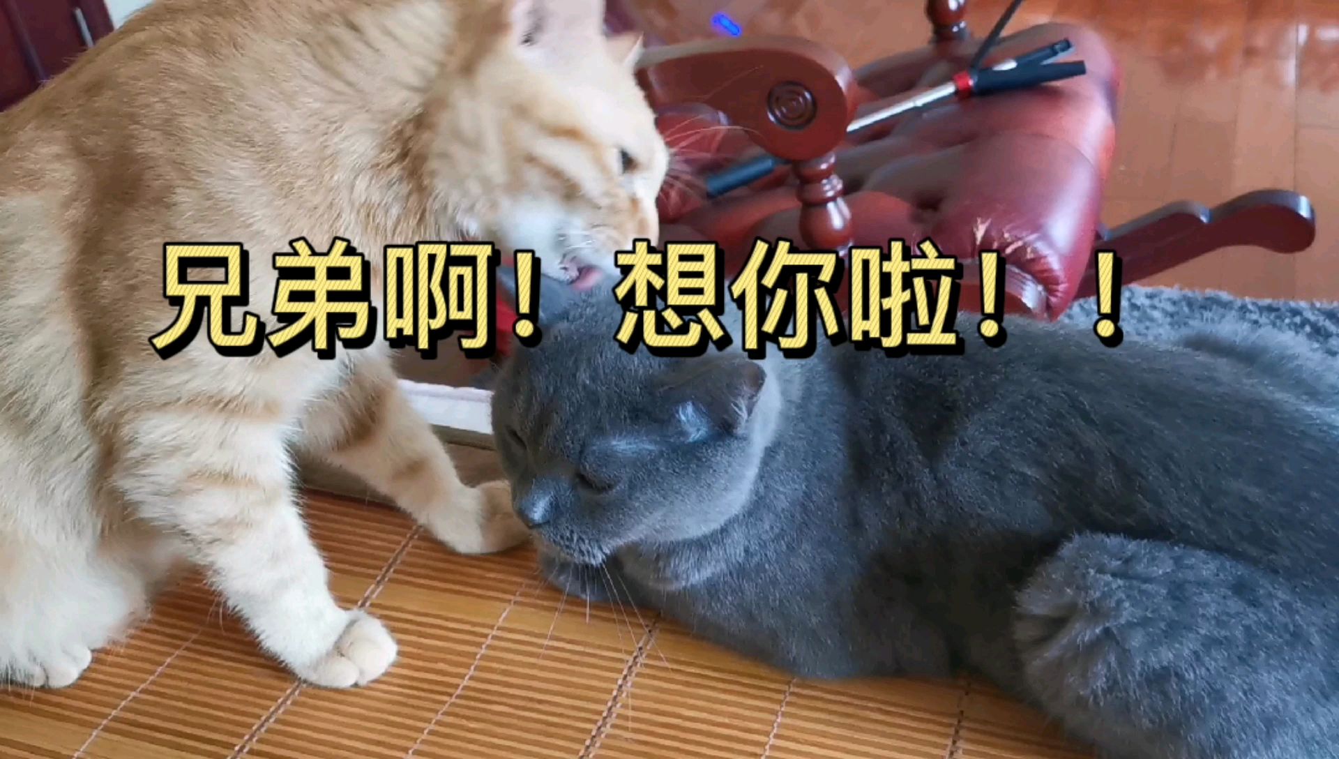 兄弟啊!想你啦!