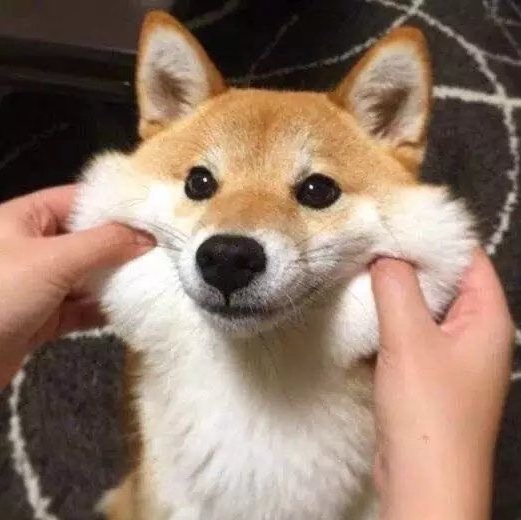 小龙探险2020-12-13-荒废药剂厂的无头黑萌萌【高能预警】