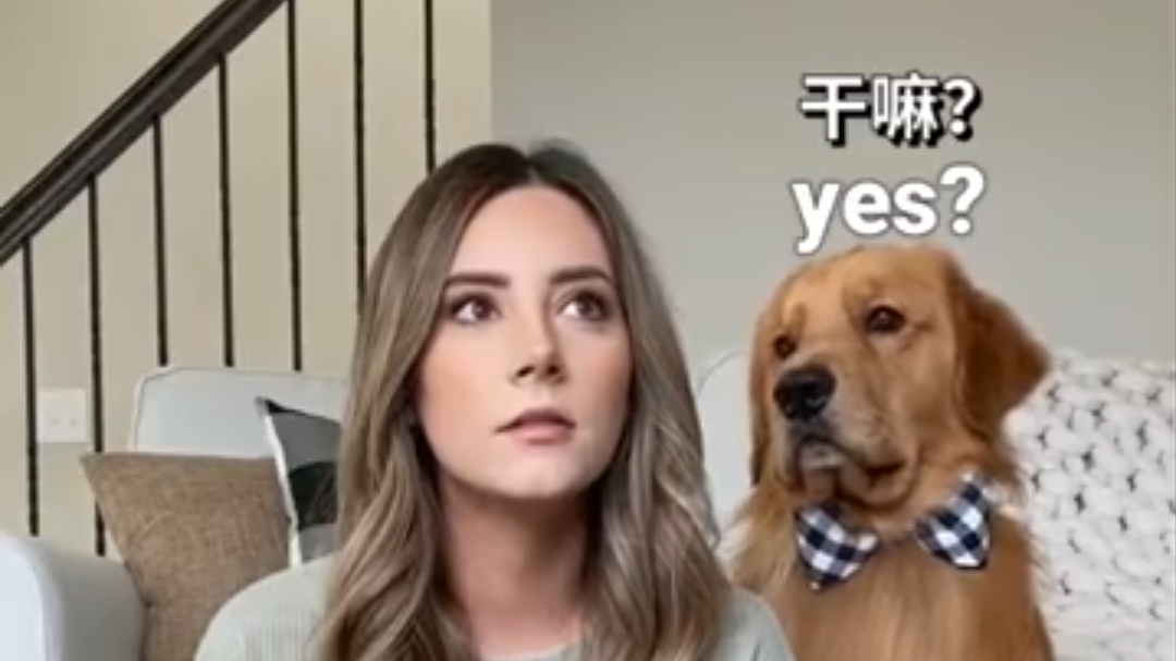 当着狗勾的面喊它们的名字,会有啥反应…