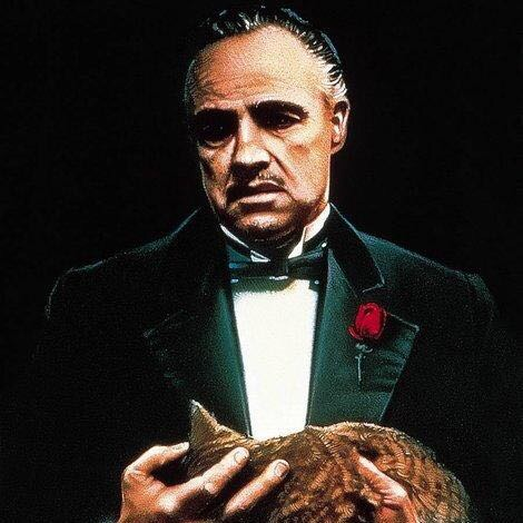 美少女万华镜外传之爆刘继芬