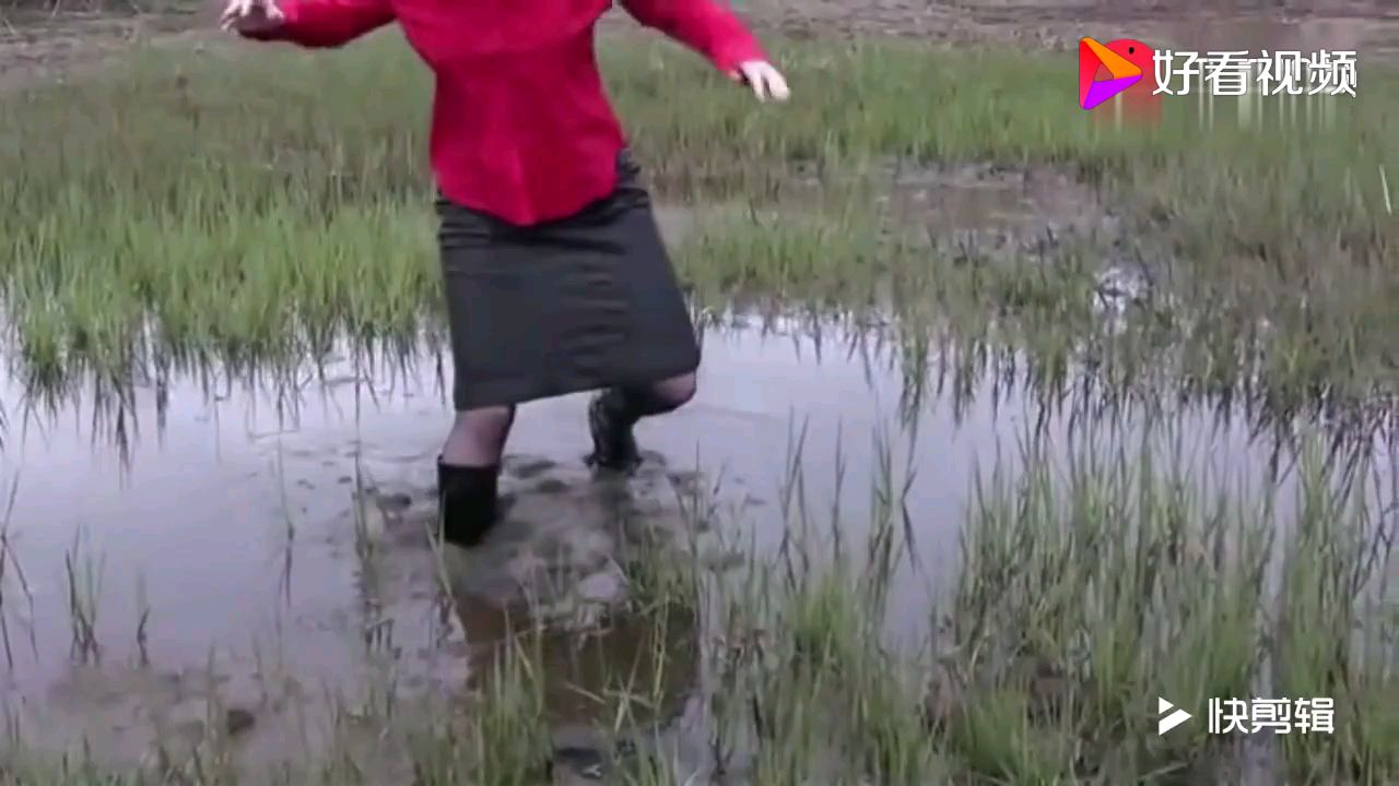 陷入泥潭,越动动陷的越深