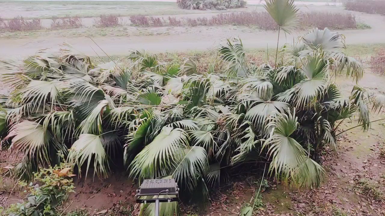 寻找我心中的休闲小城