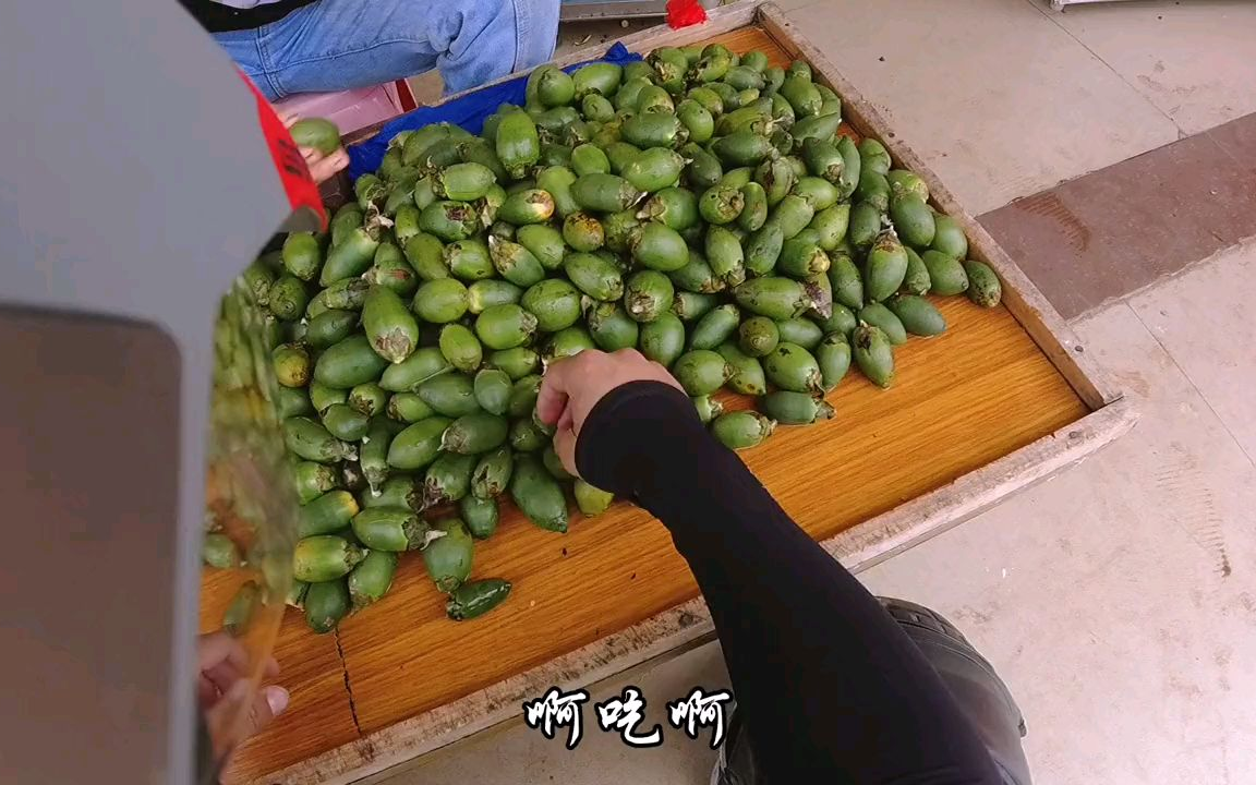 小伙在海南旅行想买生槟榔吃,得知价格后直呼买不起