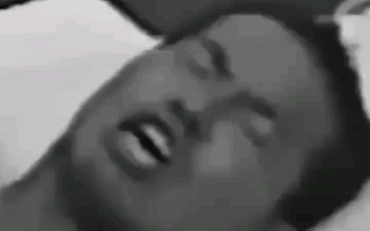 不转不是homo人