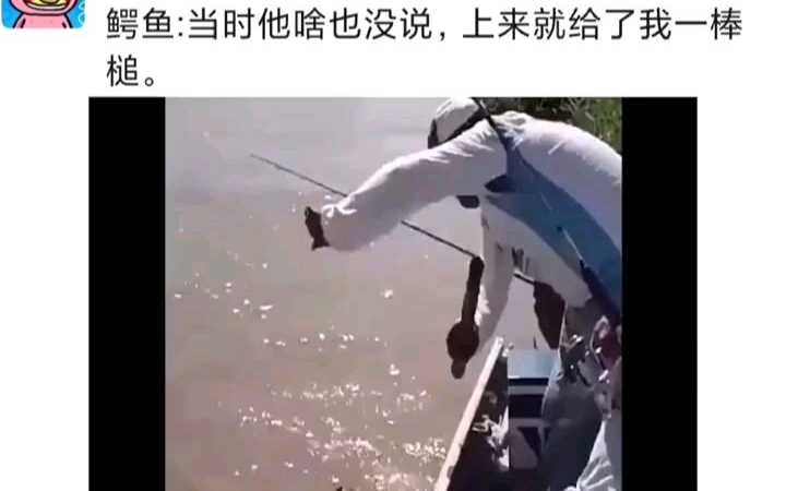 好惨一鳄鱼