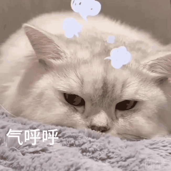 652_652gif 动态图 动图