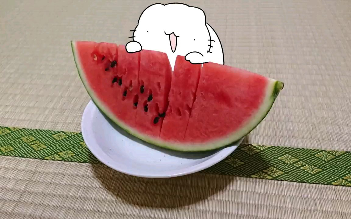 生活喵:夏天偷吃整块西瓜的猫(结局意外)【卡梅拉鲁猫猫系列】