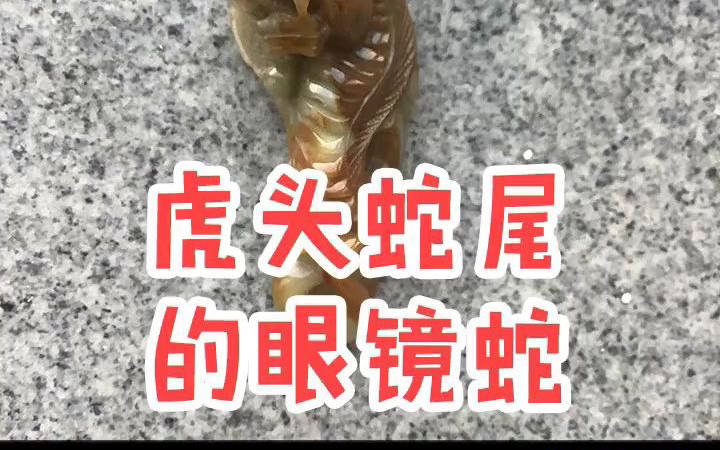 宝友,这可不兴收啊