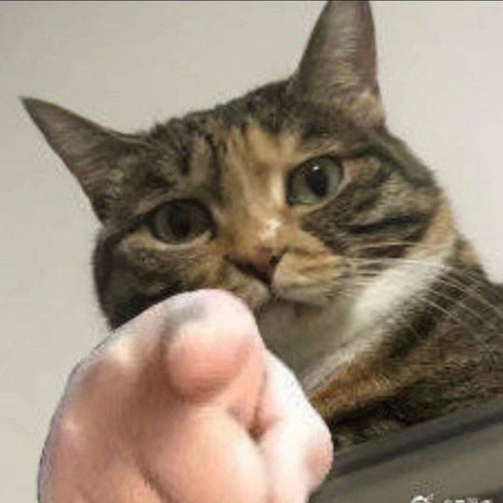 蒙古姑娘跳konjinendans(rabbit dance) - acfun弹幕视频网 - 认真你