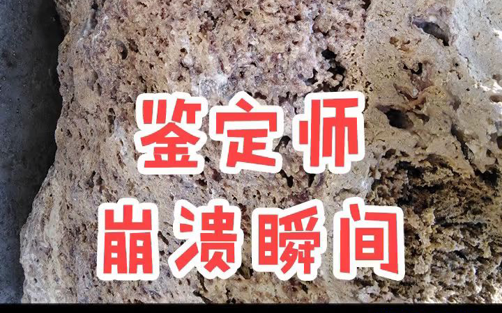 海东董事长:为什么崩溃的总是我???