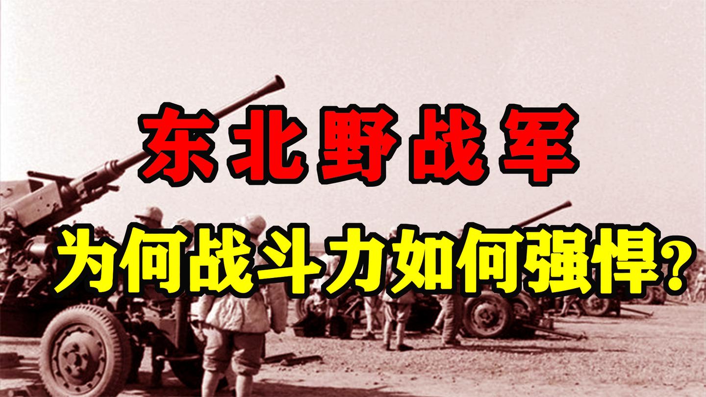 “王牌之师”: 东北野战军为何战斗力如此强悍? 虎将带雄兵!